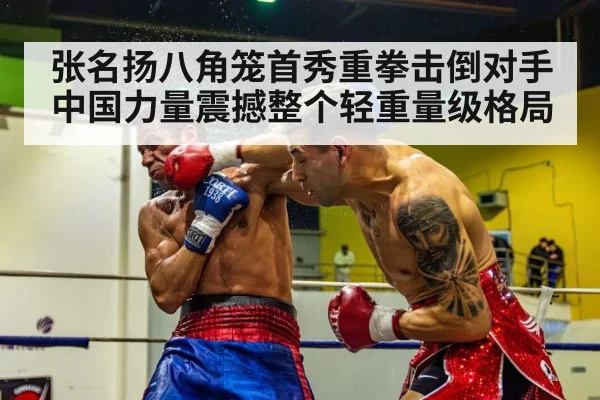 张名扬八角笼首秀重拳击倒对手中国力量震撼整个轻重量级格局